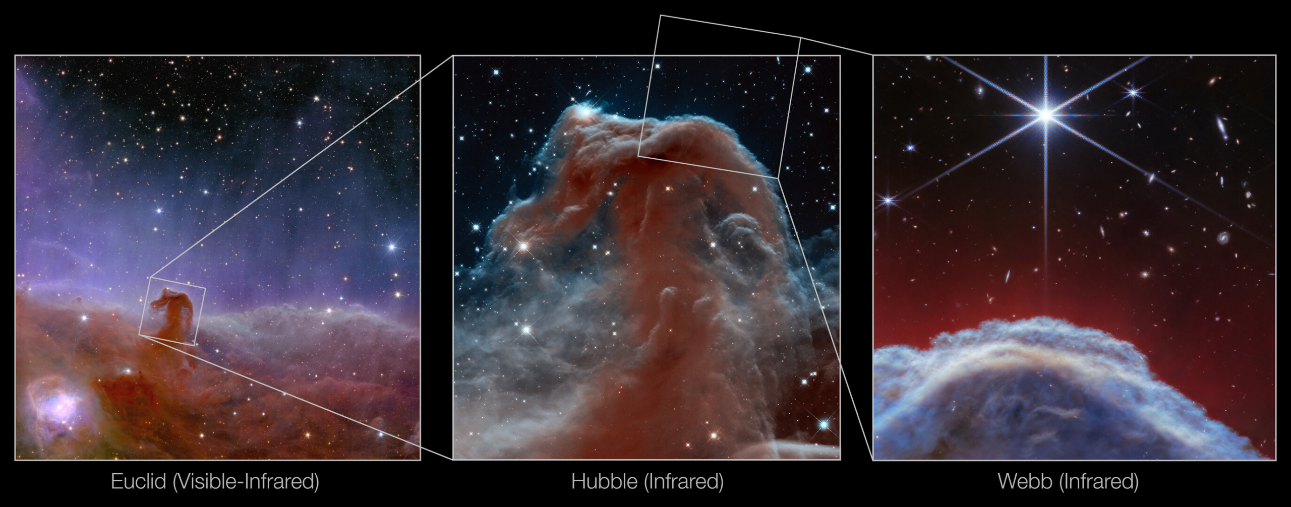 Webb captures iconic Horsehead Nebula in unprecedented detail