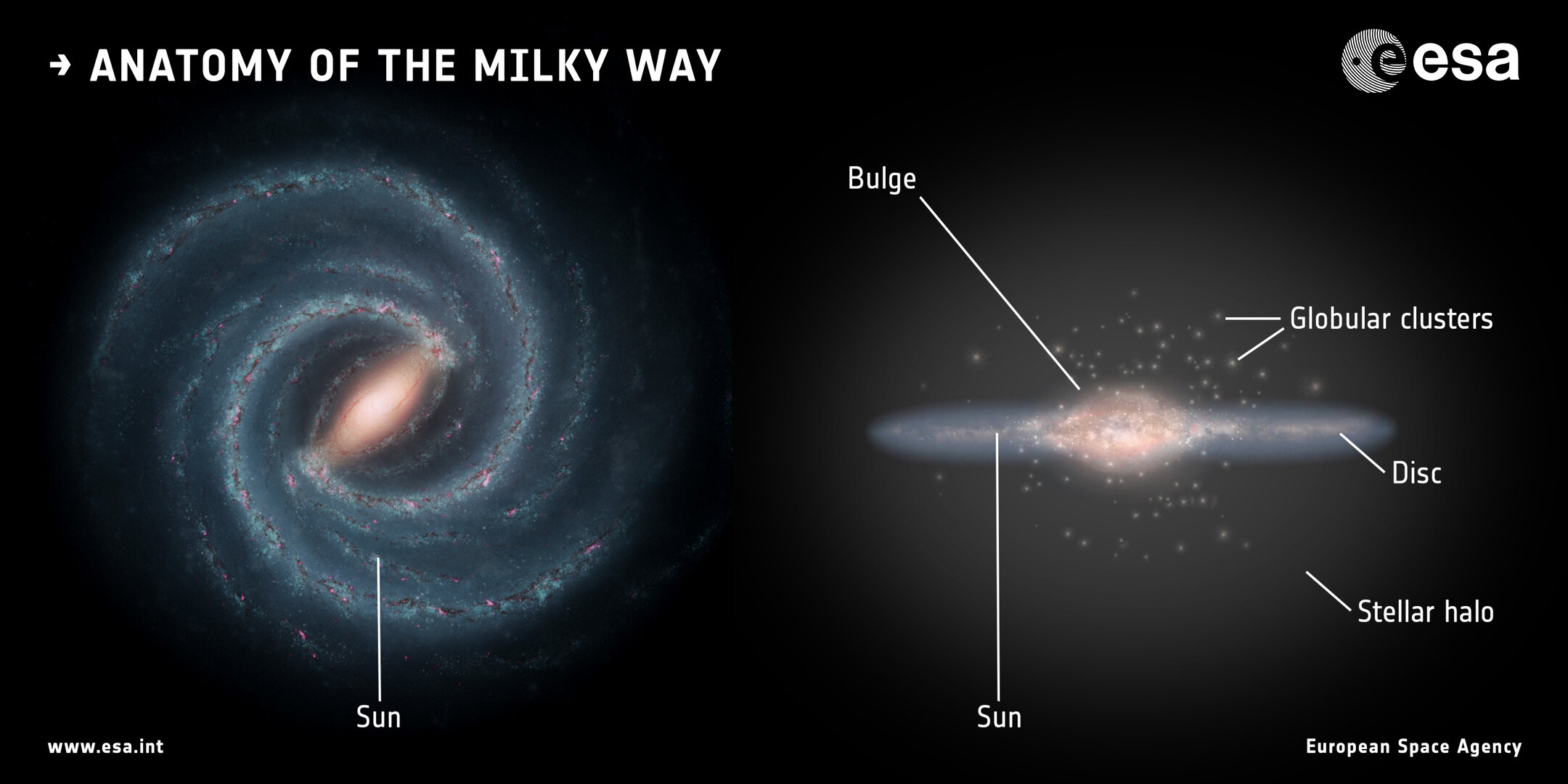 On the left, an illustration of the Milky Way from above, showcasing its spiral arms. On the right, the Milky Way from the side, showcasing its bulge. From the side, the Milky Way looks like a horizontal line except for its center, where the bulge resides.