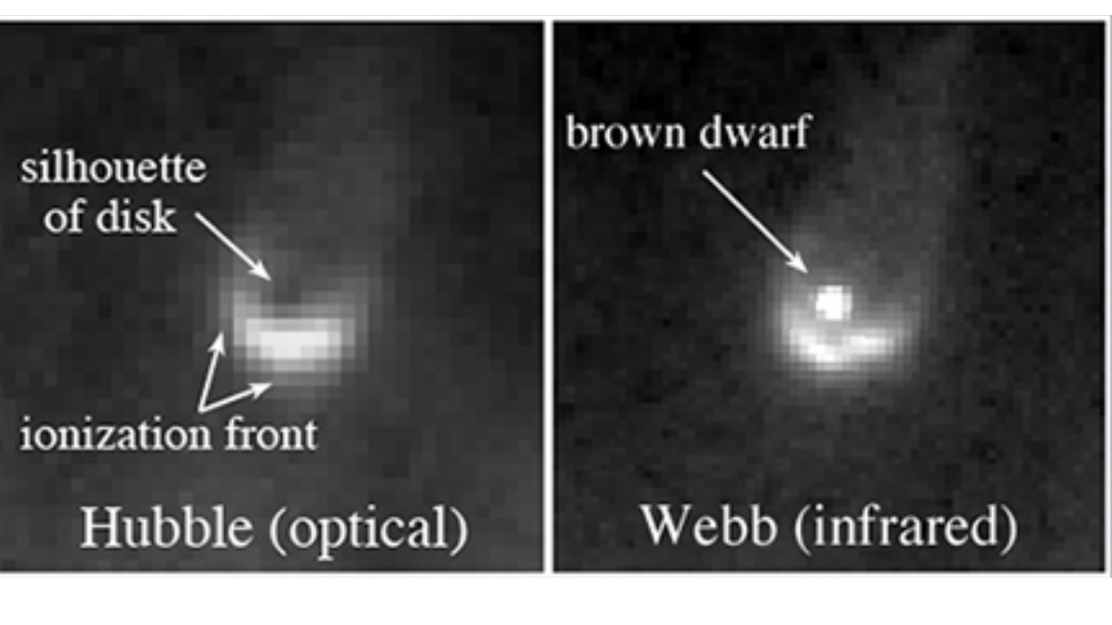 Can 'failed stars' have planets? James Webb Space Telescopes offers clues