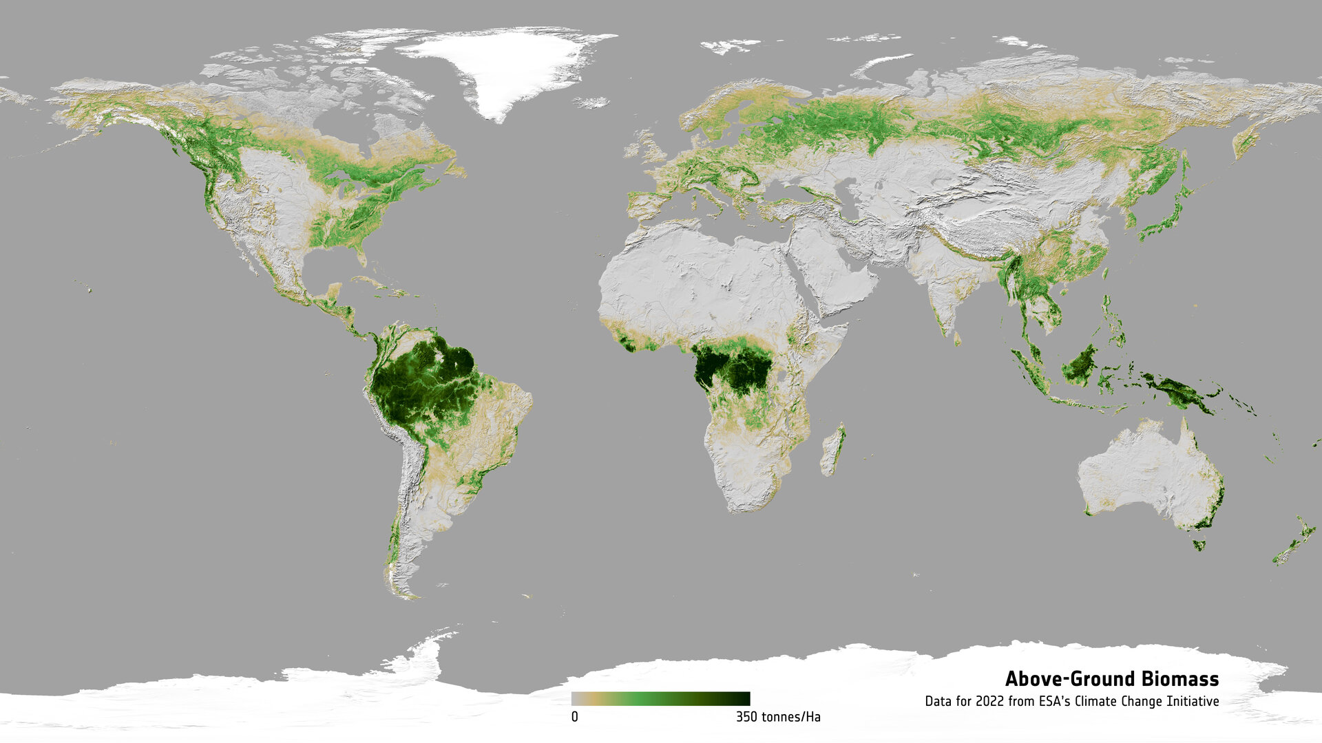 ESA Launches Comprehensive Dataset on Forest Carbon to enhance Climate Science