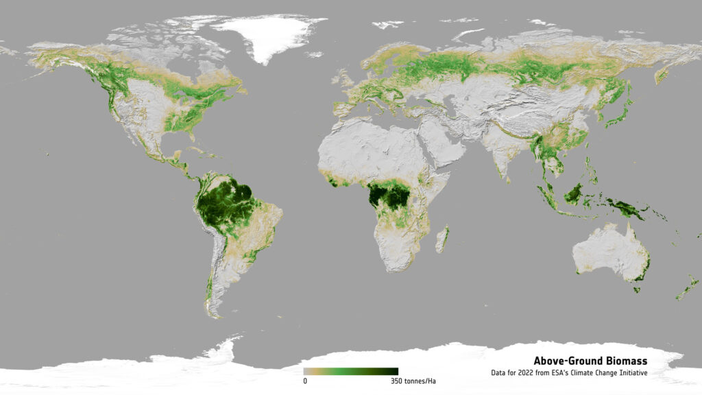 ESA unveils longest-ever dataset on forest biomass