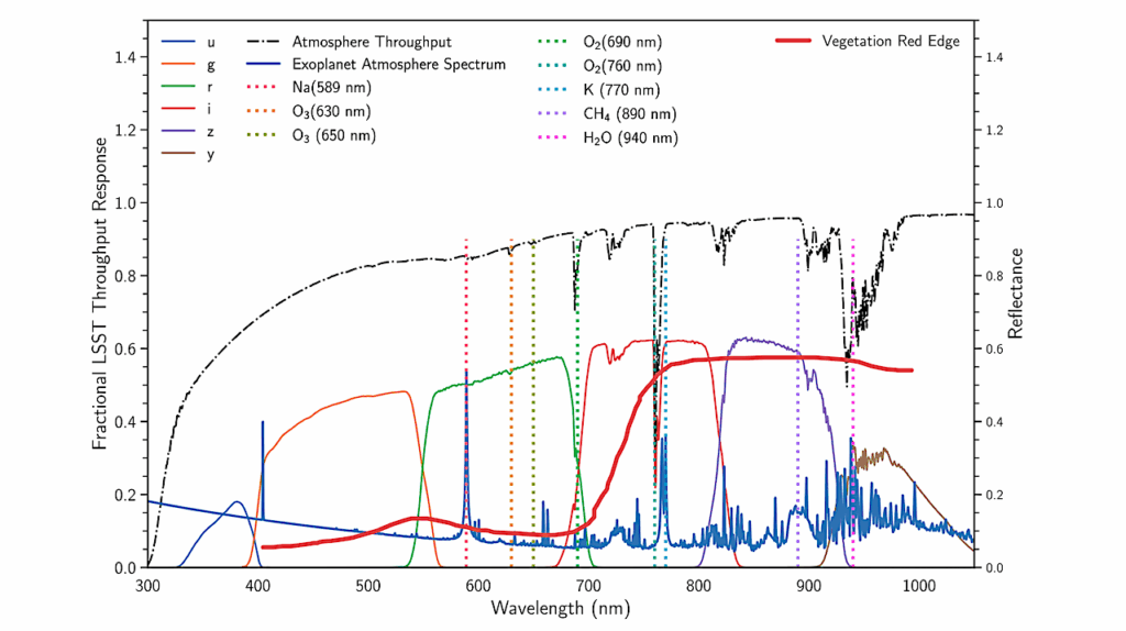 Multiscale Astrobiology With The Vera C. Rubin Observatory Legacy Survey Of Space and Time