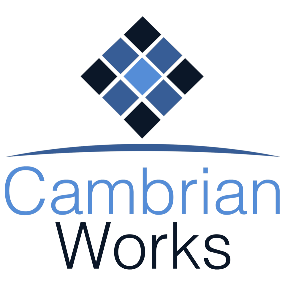 SpaceWERX Selects Cambrian Works for a $1.25M Phase II Contract
