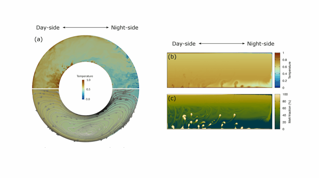 The Role Of Interior Dynamics and Differentiation on the Surface and Atmosphere of Lava Planets