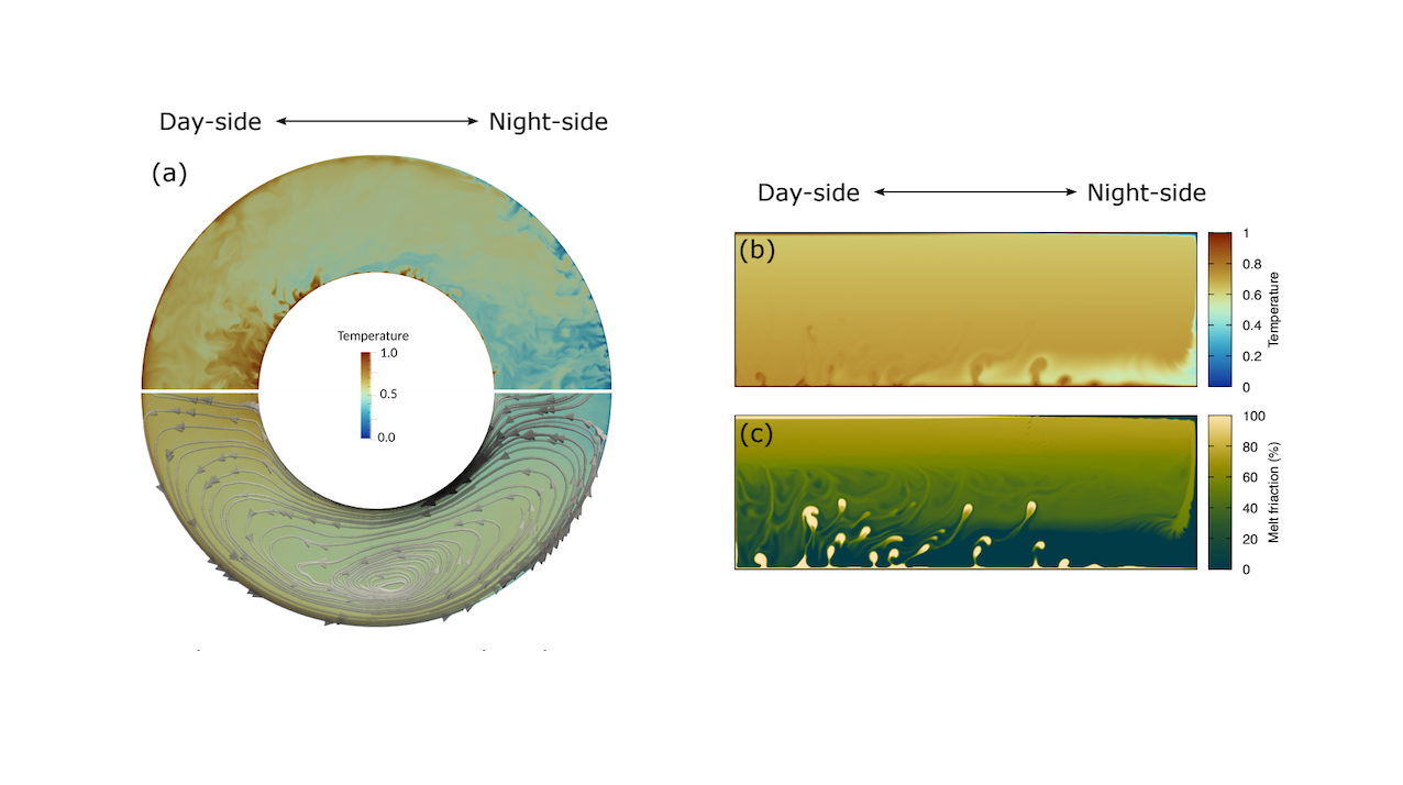 The Role Of Interior Dynamics and Differentiation on the Surface and Atmosphere of Lava Planets