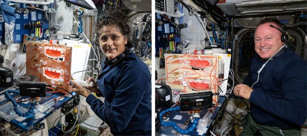 Unearthly Plumbing Required for Plant Watering in Space