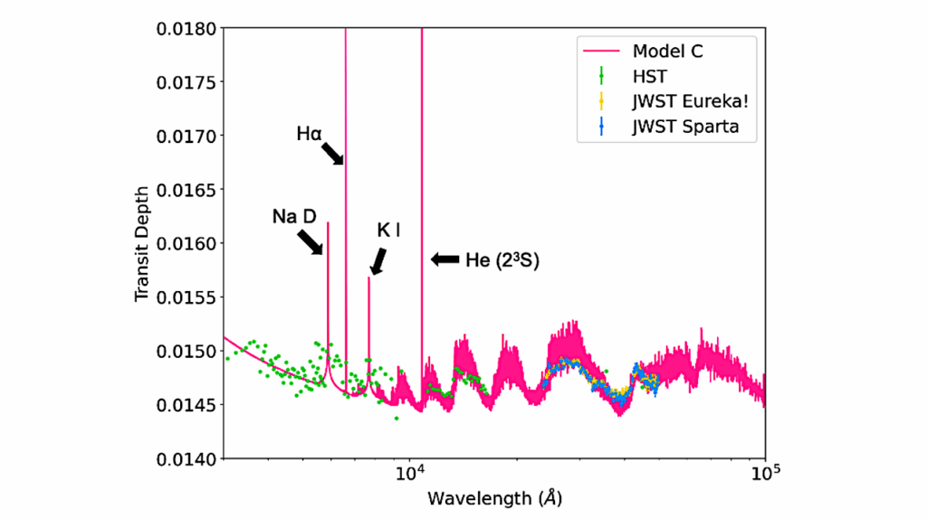 A Multi-Species Atmospheric Escape Model with Excited Hydrogen and Helium: Application to HD209458b