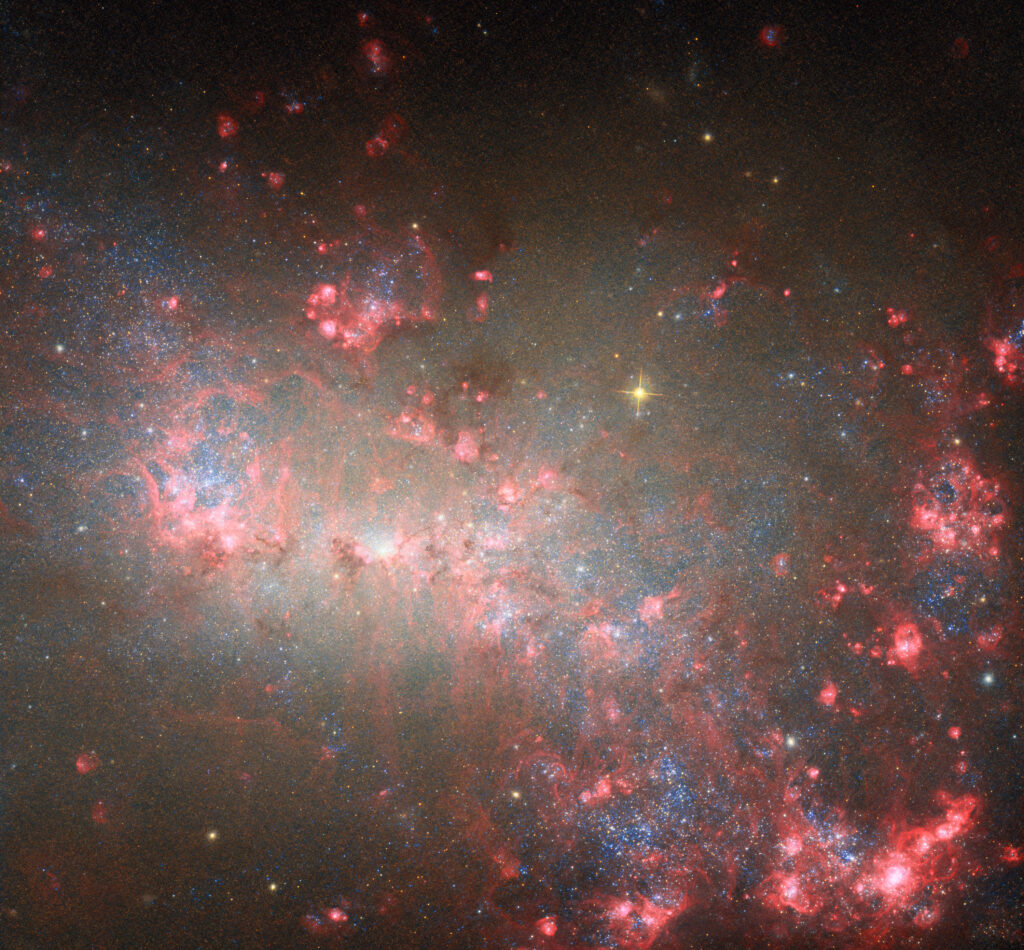Dwarf galaxy glows red in the Hunting Dogs constellation | Space photo of the day for June 25, 2025