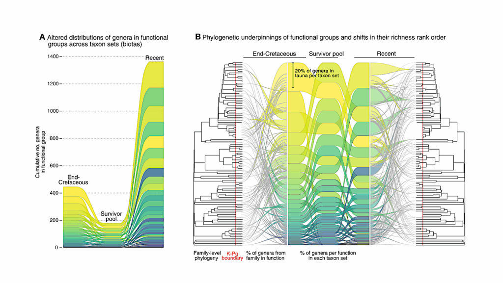 How Does Life Rebound From Mass Extinctions?