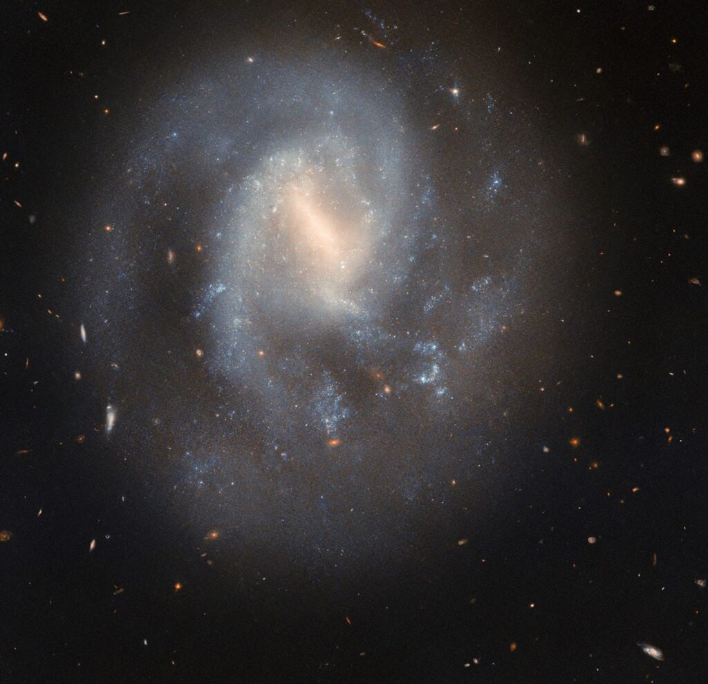 Hubble Studies a Spiral’s Supernova Scene