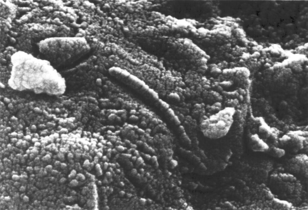 Is the bar higher for scientific claims of alien life?