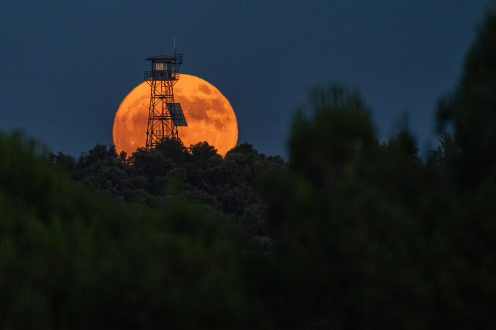 June's full 'Strawberry Moon' illuminates the night sky next week: Here's how to see it