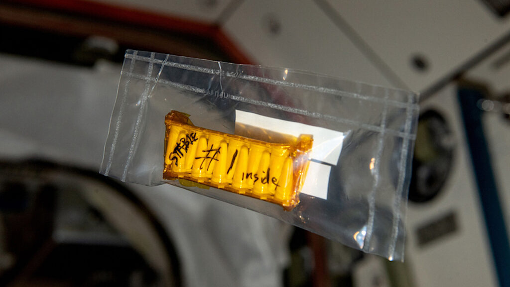 NASA Spaceline Current Awareness List #1,153 13 June 2025 (Space Life Science Research Results)