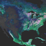 NASA’s PACE Mission Reveals a Year of Terrestrial Data on Plant Health