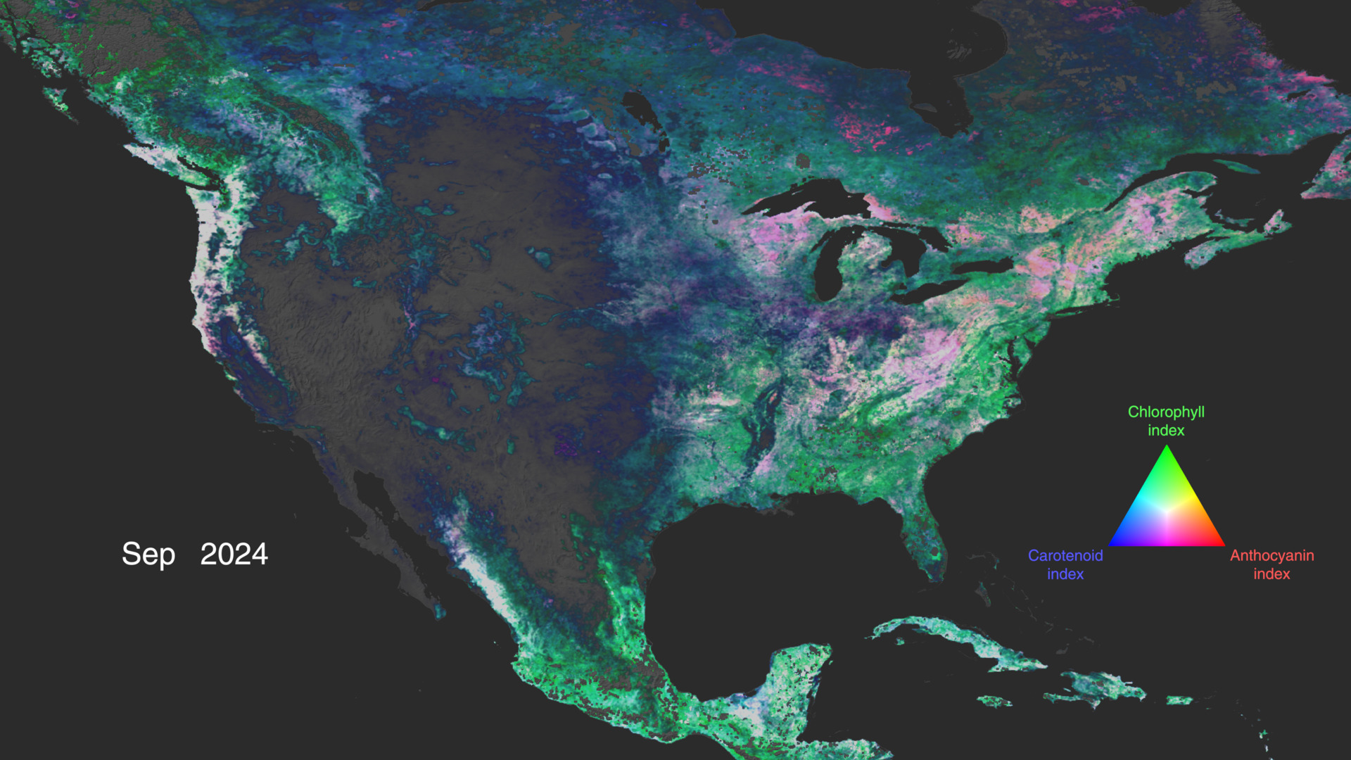 NASA’s PACE Mission Reveals a Year of Terrestrial Data on Plant Health