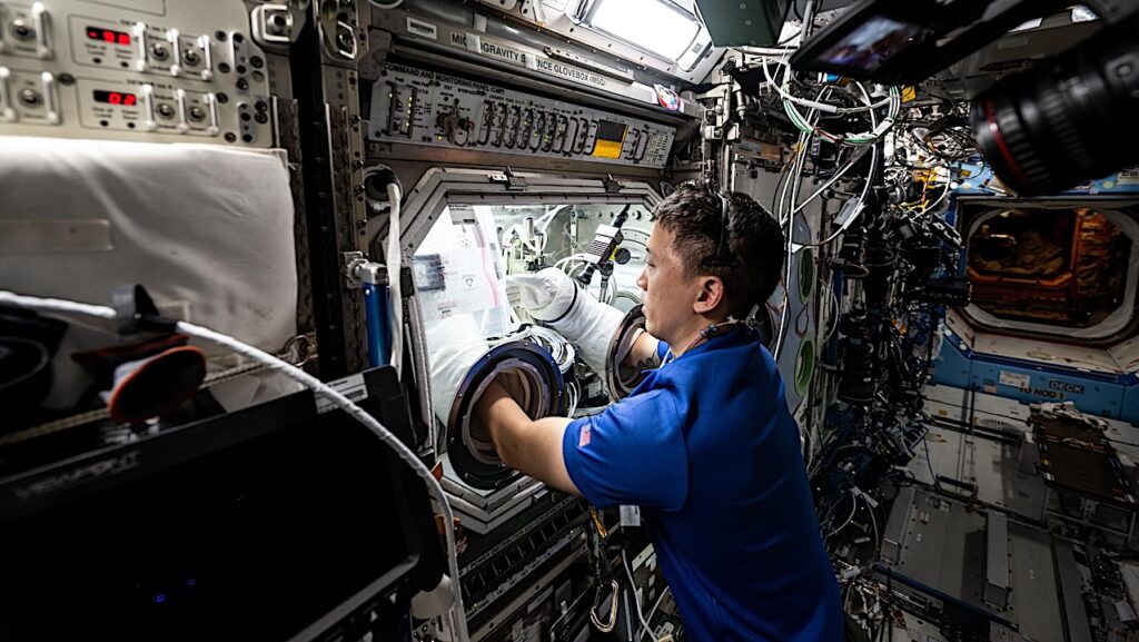 Offworld Biomedical Research Inside A Microgravity Science Glovebox