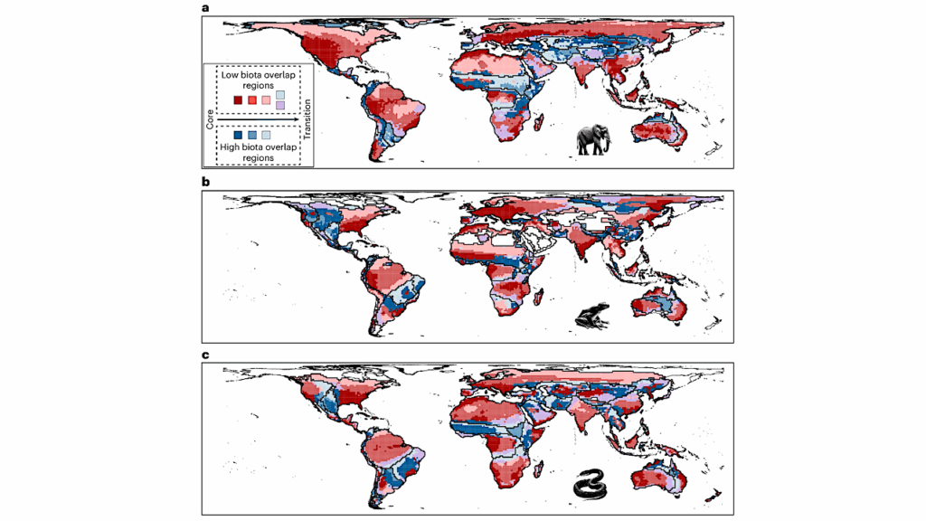 Planetary Biology: One Rule Explain Life’s Distribution