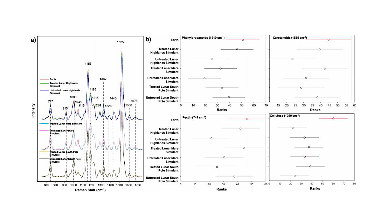 Raman Spectroscopy As A Tool For Assessing Plant Growth In Space And On Lunar Regolith Simulants