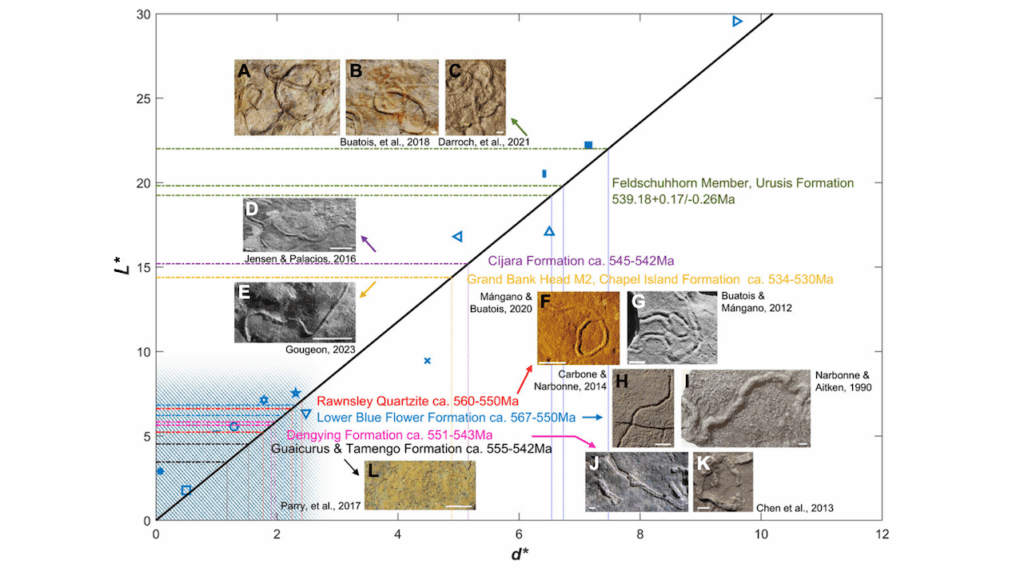 The Cambrian Explosion May Have Occurred Much Earlier Than Previously Thought