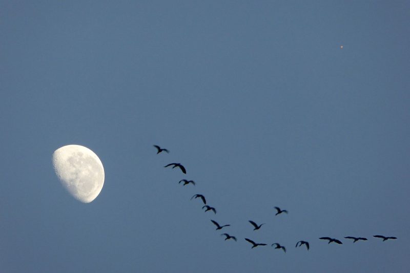 Top 10 space objects to see during the day