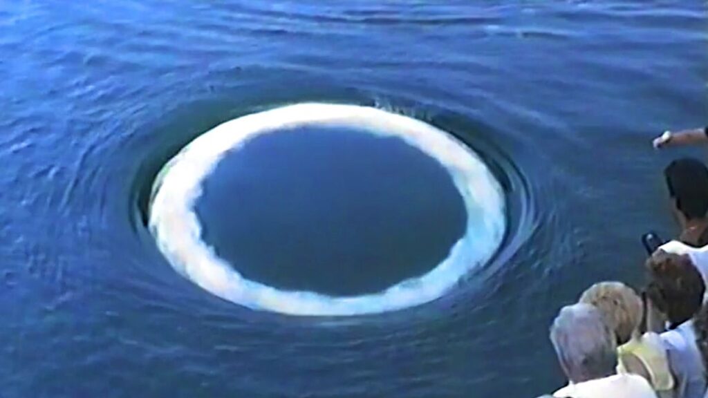 WhaleSETI: Curious Humpback Whales Approach Humans And Blow Nubble “Smoke” Rings