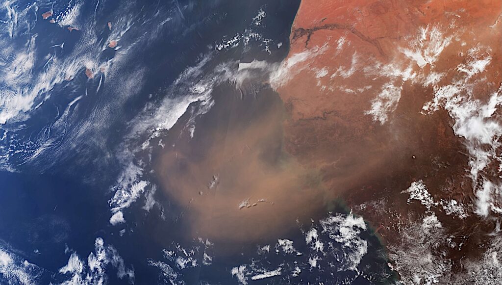 When A Desert Planet And Ocean Planet Mix: A Saharan Dust Plume