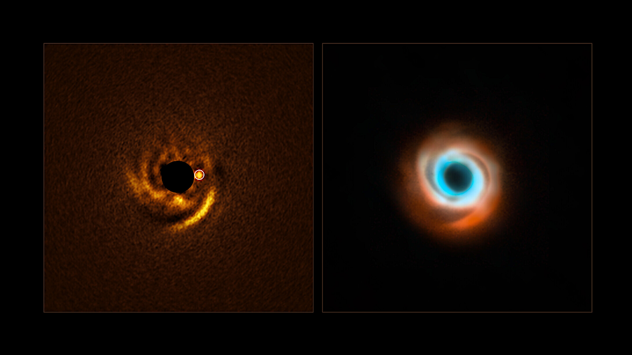 A Newborn Planet Observed Sculpting The Dust Around It