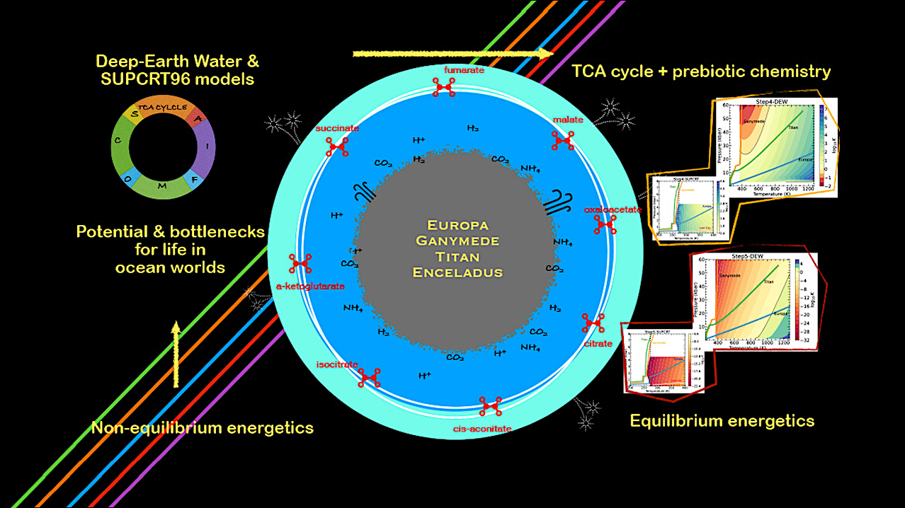 A Thermodynamic Perspective On Potential Life In Icy Ocean Worlds