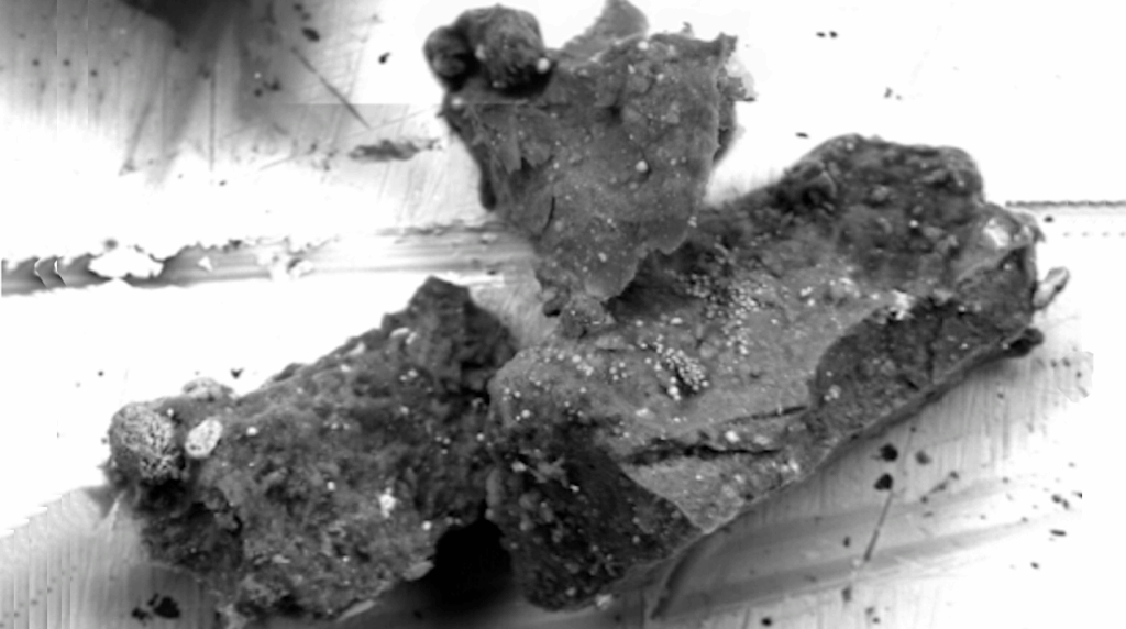 An Unexpected Mineral Discovered In A Grain Of Asteroid Ryugu