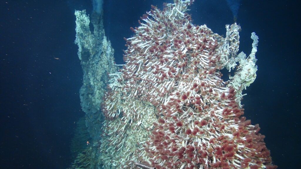 Answers To The Existence Of Alien Life Might Be Found In Earth’s Deep-sea Volcanoes