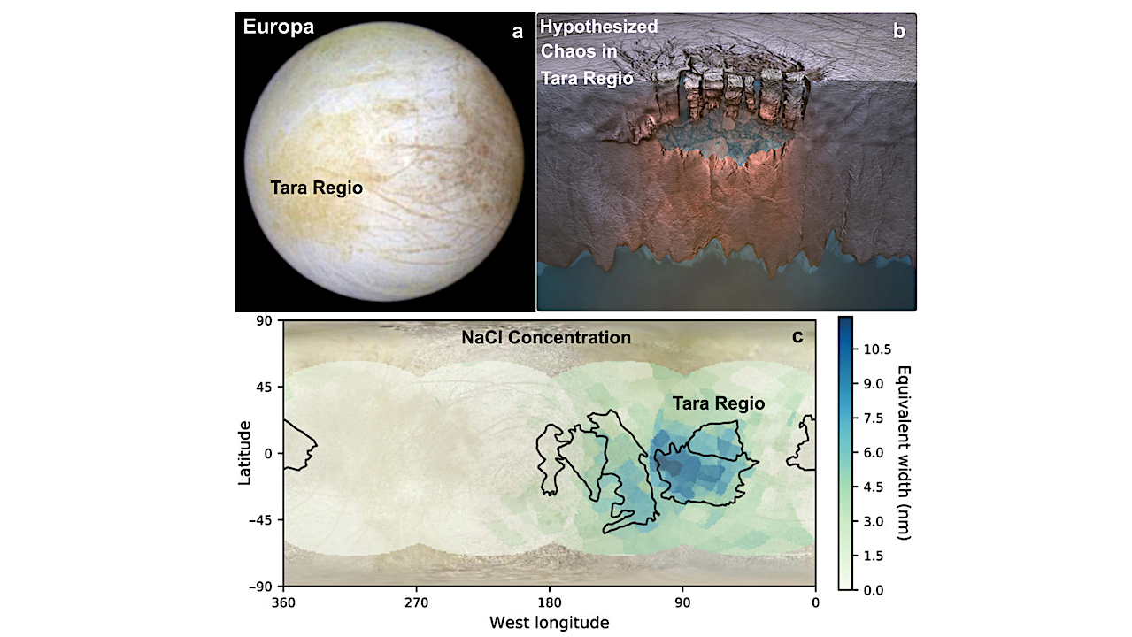 Assessing Ocean World Habitability With HWO