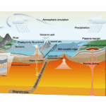 Biogeochemistry: How Our Planet Forms Hydrocarbons Deep Inside