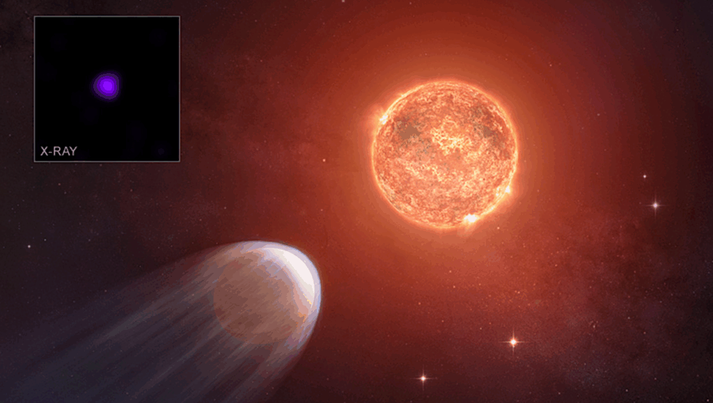Chandra Finds That Young Exoplanet TOI 1227 b Is Shrinking