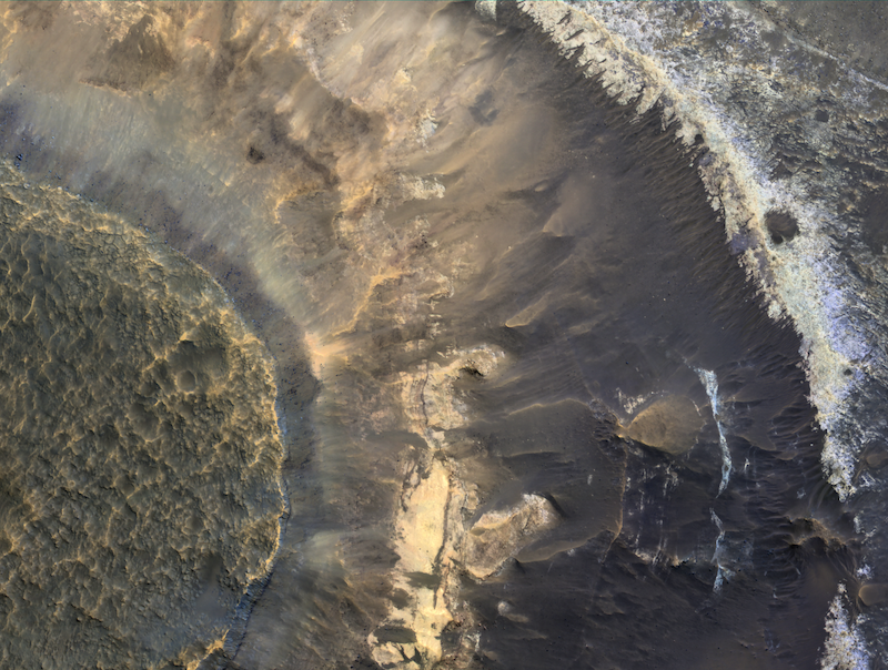 Clays on Mars as tantalizing oases for microbial life