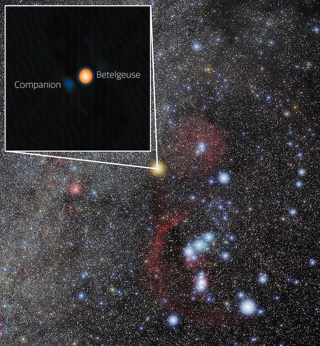 Companion for Betelgeuse confirmed! Beloved red star has a blue-white buddy