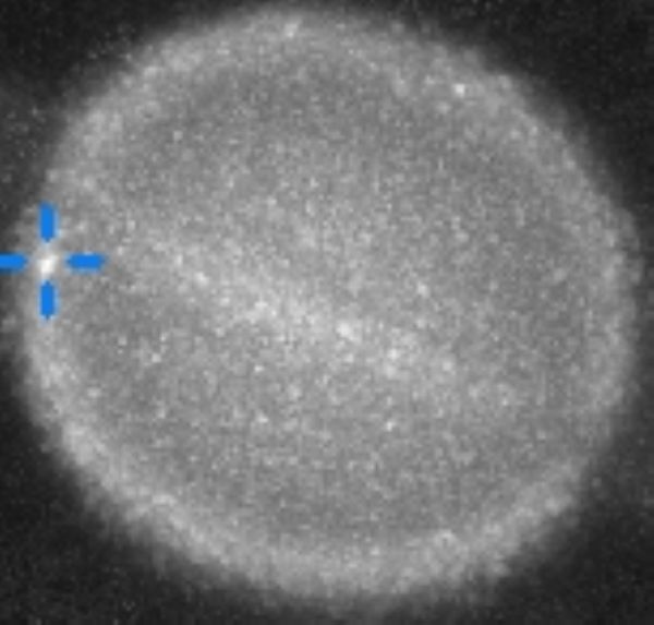 Did something just hit Saturn? See the image here!
