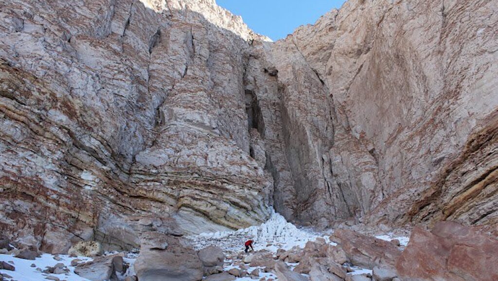 Draft Genome Sequence Of An Uncultured Archaeon From Antarctic Endolithic Communities