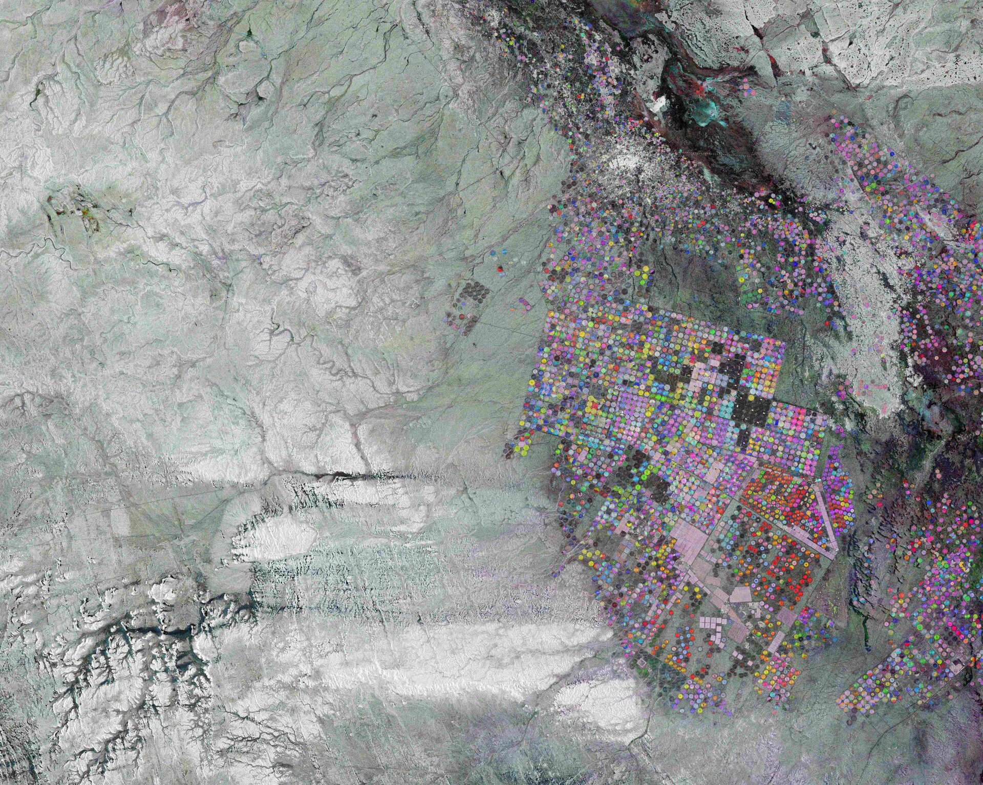 Earth from Space: Circles in the desert