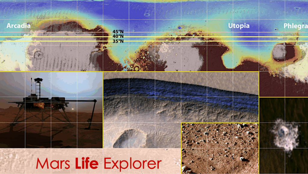 Enhancing Mars Life Explorer (MLE) With True Agnostic Life Detection Capabilities