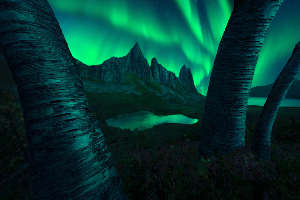 Feast your eyes on the shortlisted pics for the 2025 ZWO Astronomy Photographer of the Year Awards (photos)