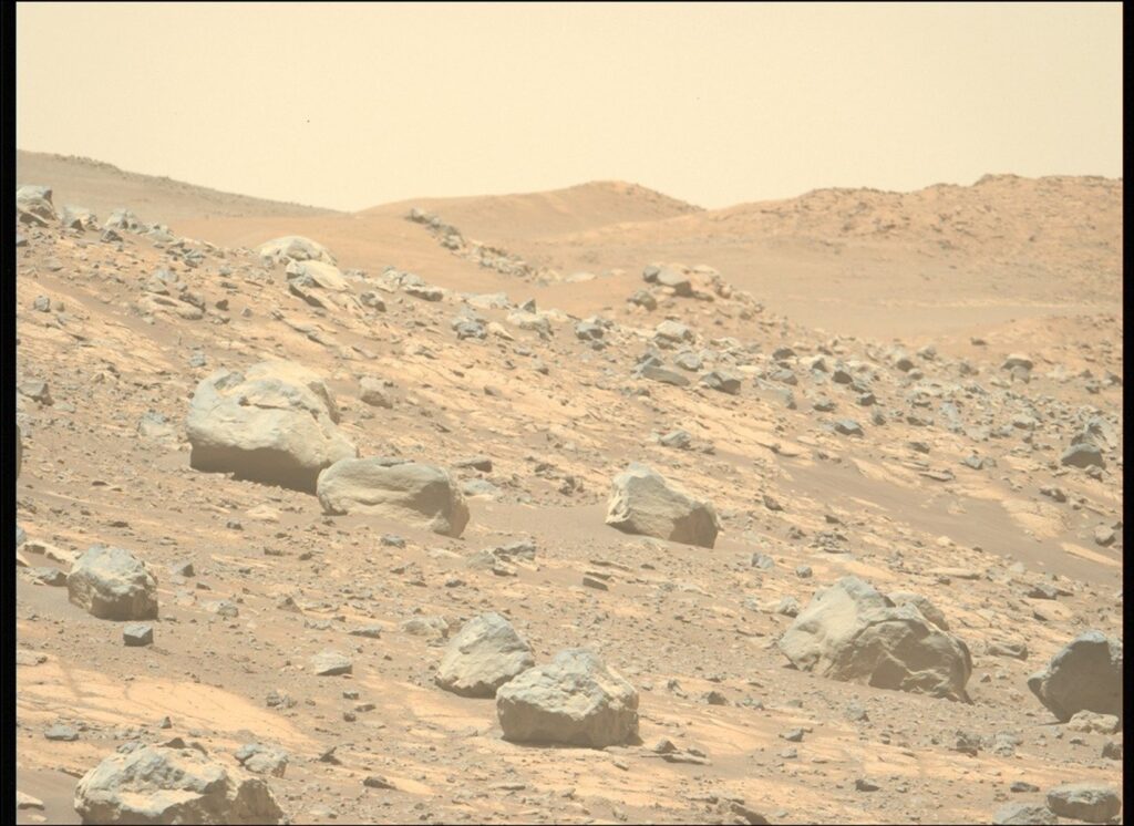 Feeling the Heat: Perseverance Looks for Evidence of Contact Metamorphism 