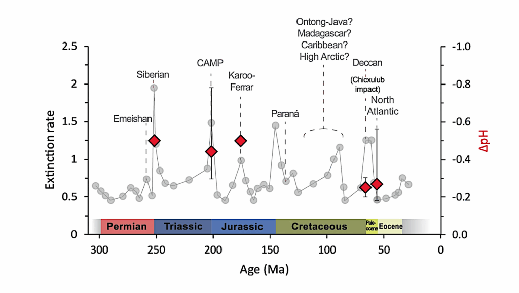 Fossilized Oysters Hold The Key To Mass Extinction