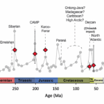 Fossilized Oysters Hold The Key To Mass Extinction