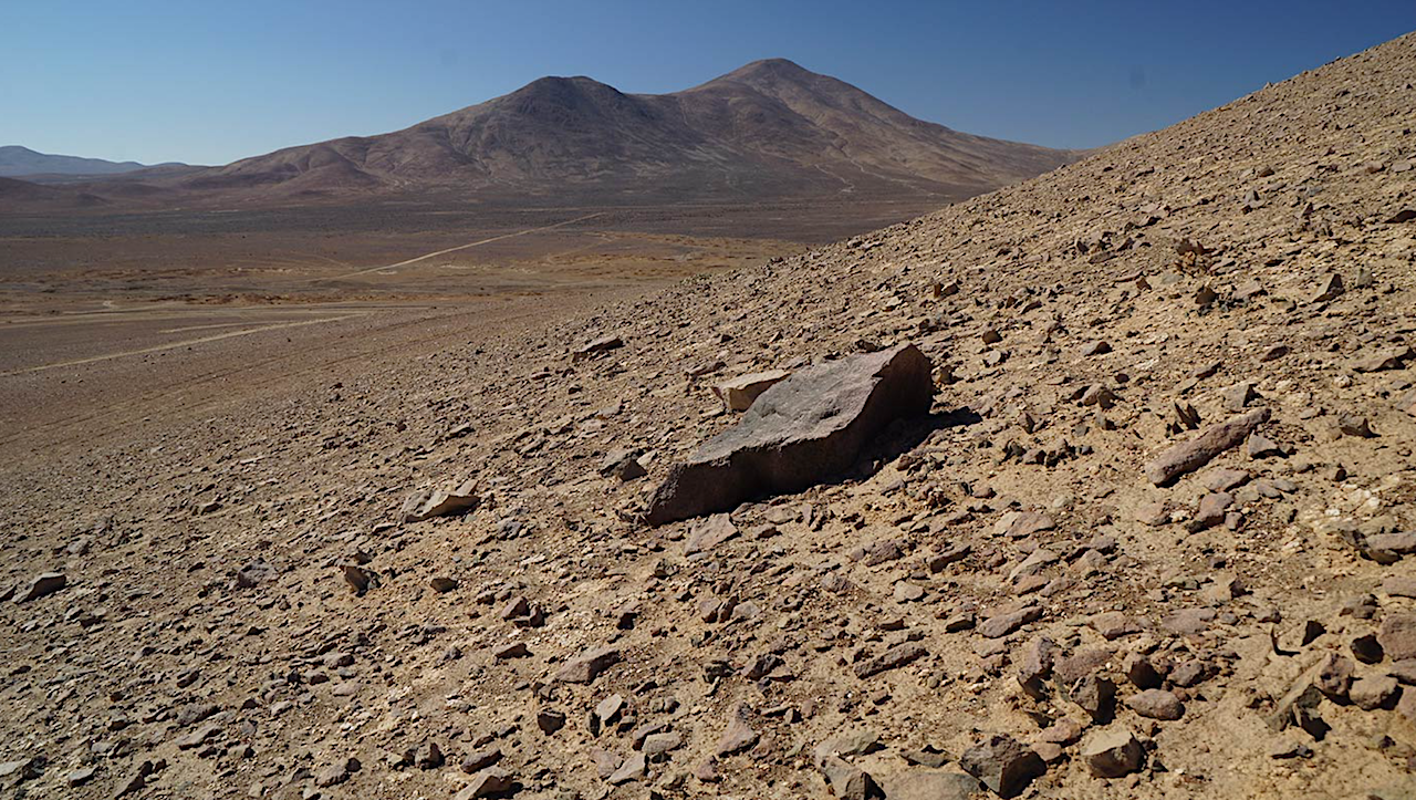Idiomarina aminovorans sp. nov., A Halophilic Bacterium Isolated From The Llamara Salt Pan In The Atacama Desert Of Northern Chile