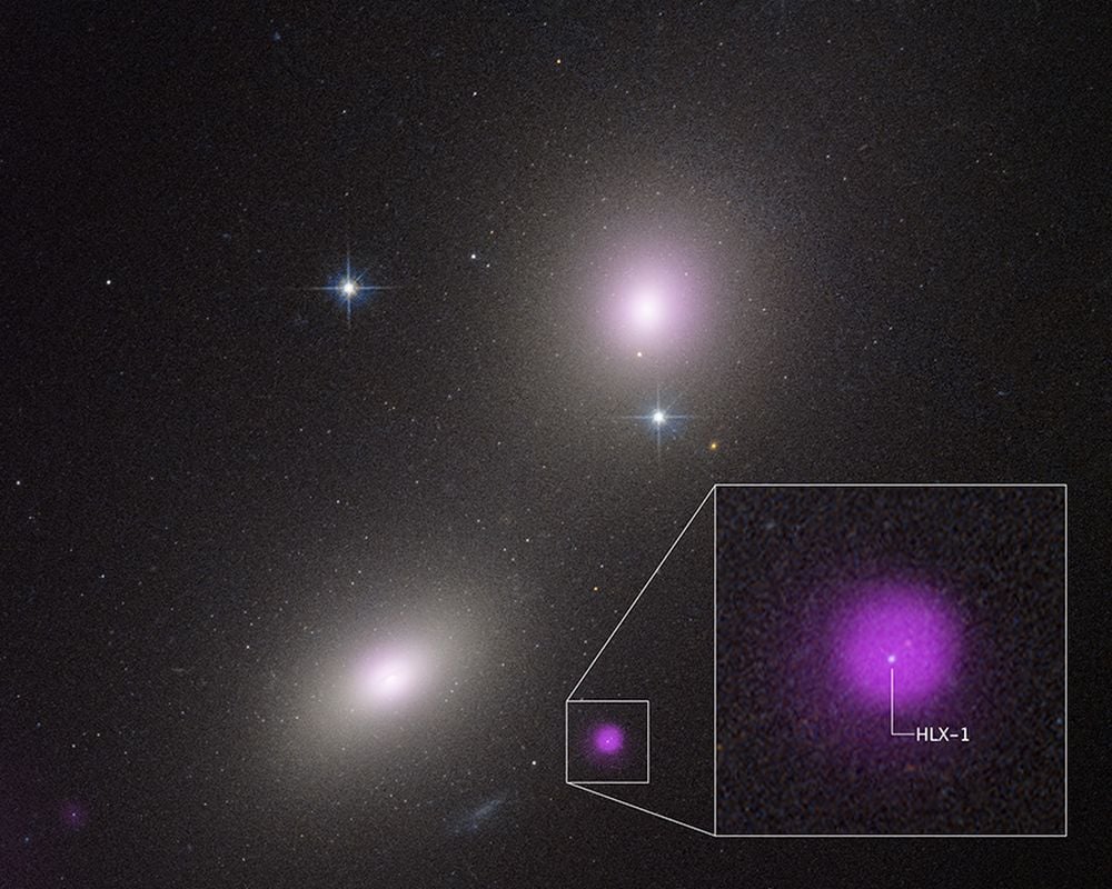 Is An Elusive Intermediate Mass Black Hole Eating a Star in This Distant Galaxy?