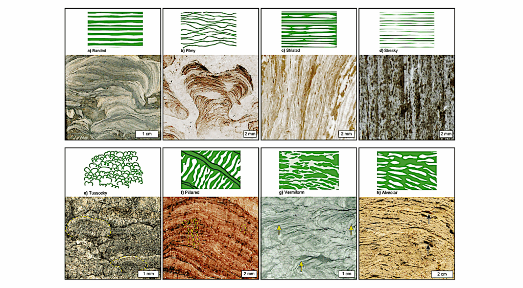 Laminae As Potential Biosignatures