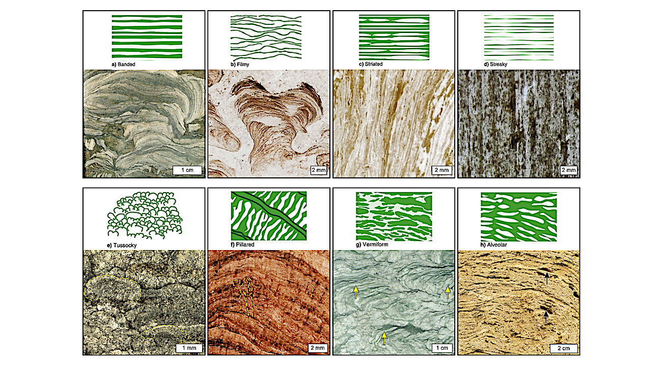Laminae As Potential Biosignatures