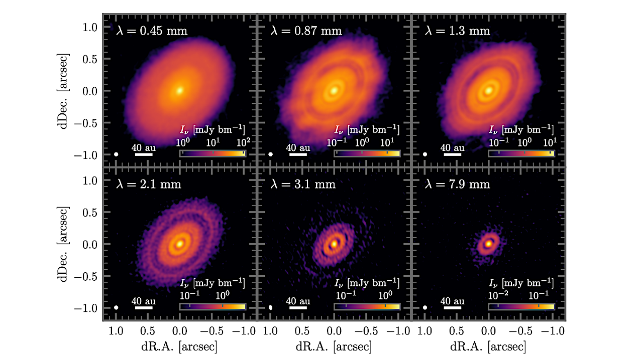 Multi-Wavelength Dust Characterization of the HL Tau Disk and Implications for Planet Formation