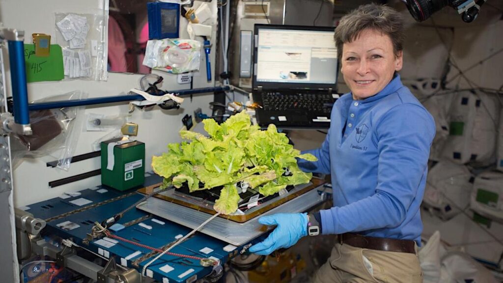 NASA Spaceline Current Awareness List #1,155 27 June 2025 (Space Life Science Research Results)