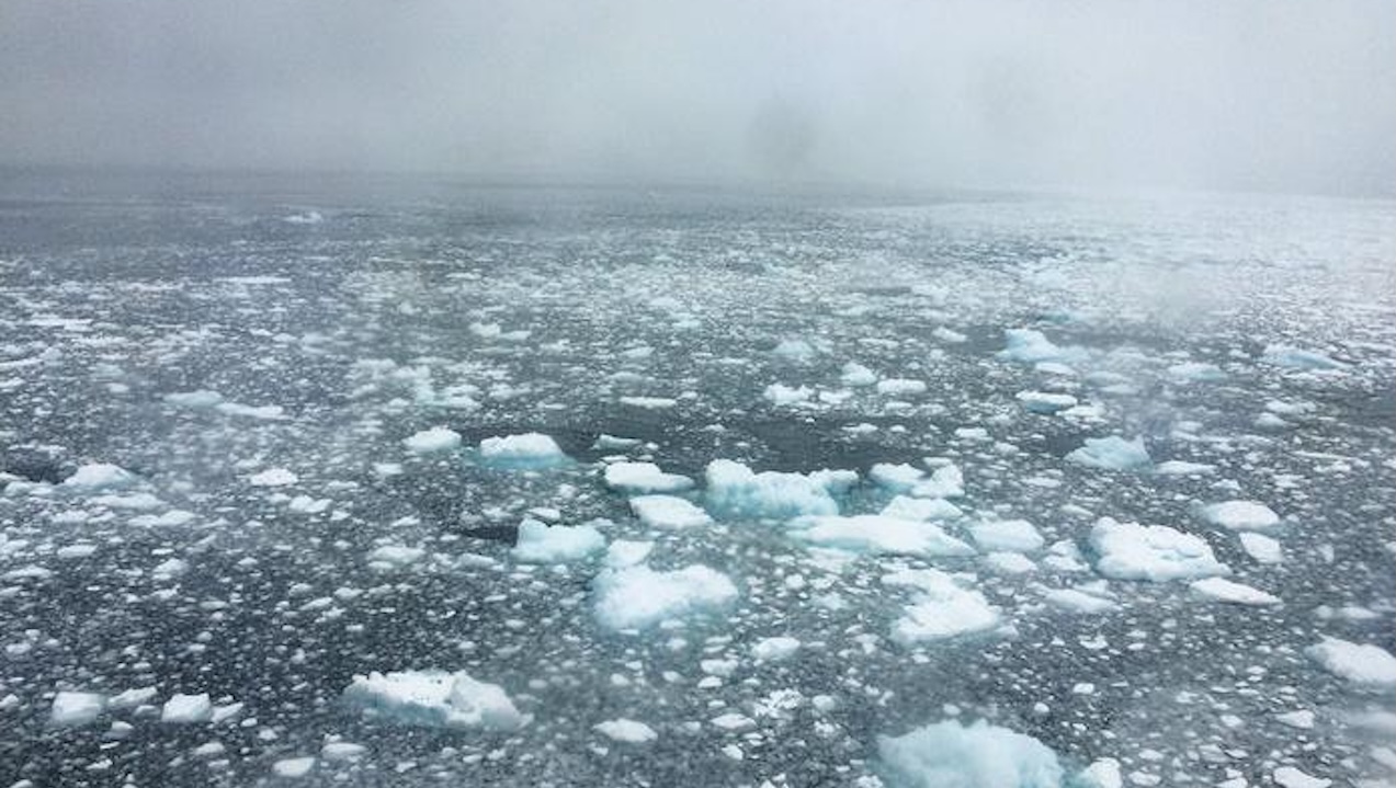 Ocean Sugars Are Responsible For A Large Part Of The Ice Nuclei In Clouds Over Southern Oceans